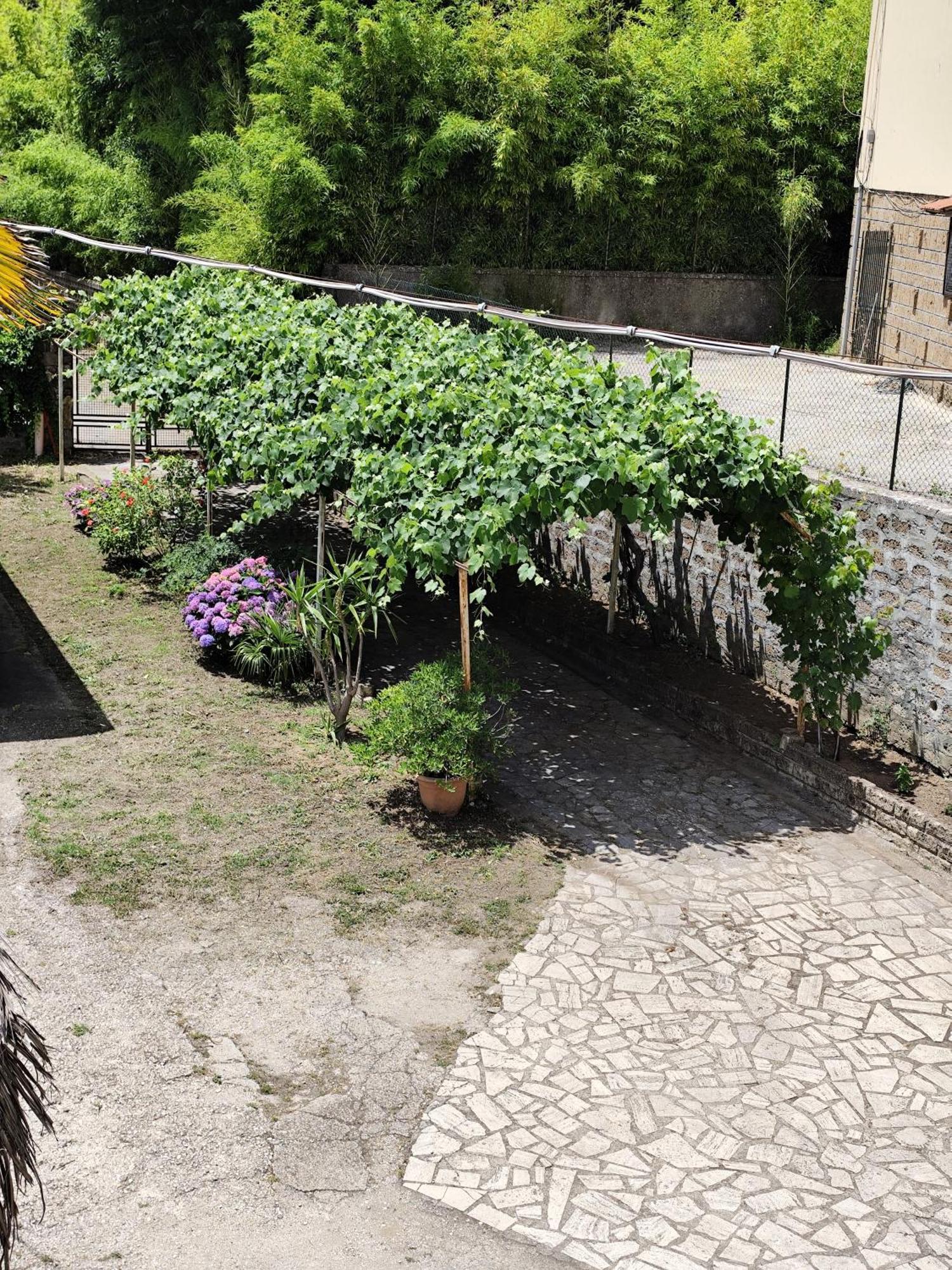 La Casina Di Karol Appartement Ronciglione  Buitenkant foto